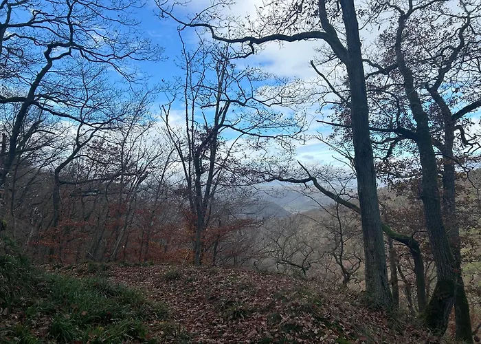 Burg Liebenstein