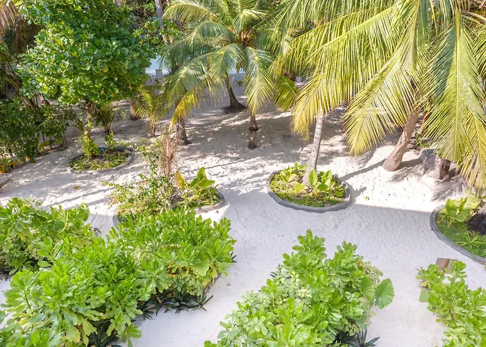Biosphere Beach