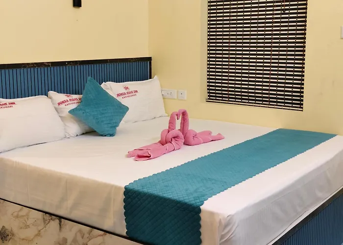 Hotel Sonia Mahi Inn