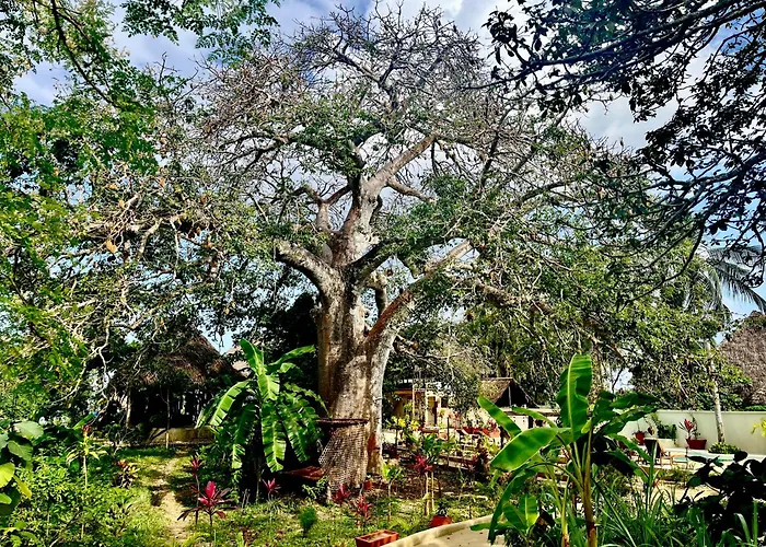 Afro Divers Lodge