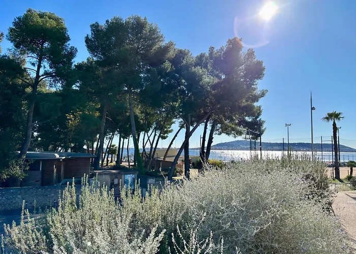 Bulle De Thau, Piscine Et Pinede
