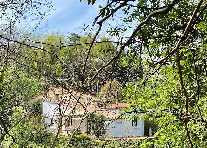 La Maison De Juliette