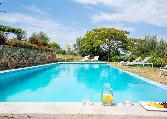 Villa Florea I Modern Design With Gym And Private Pool By Tripcare