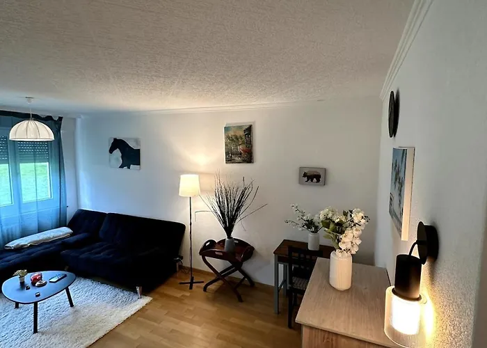 Furnished Apartment In Baden