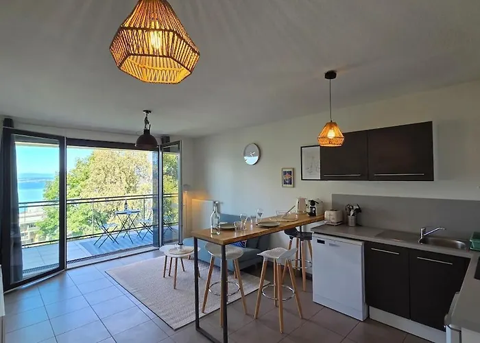 Le Leman Vision - Appartement Vue Lac