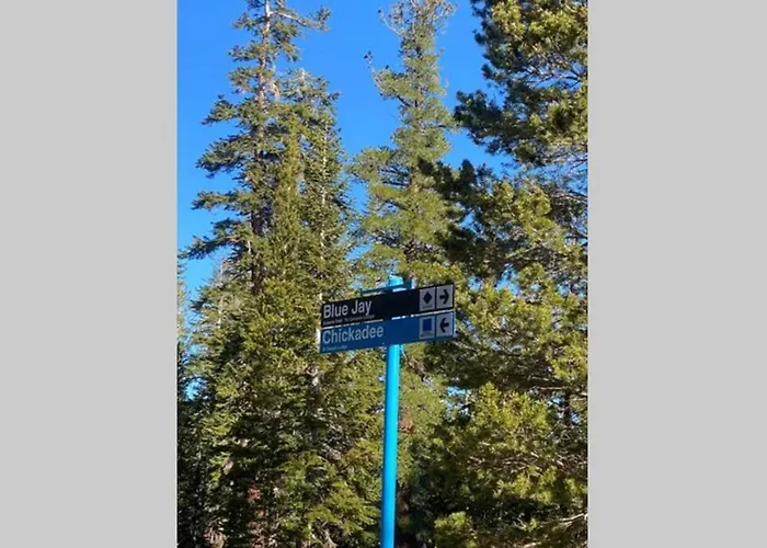 Comfy, Quiet, Condo Near Lake Mary And The Village