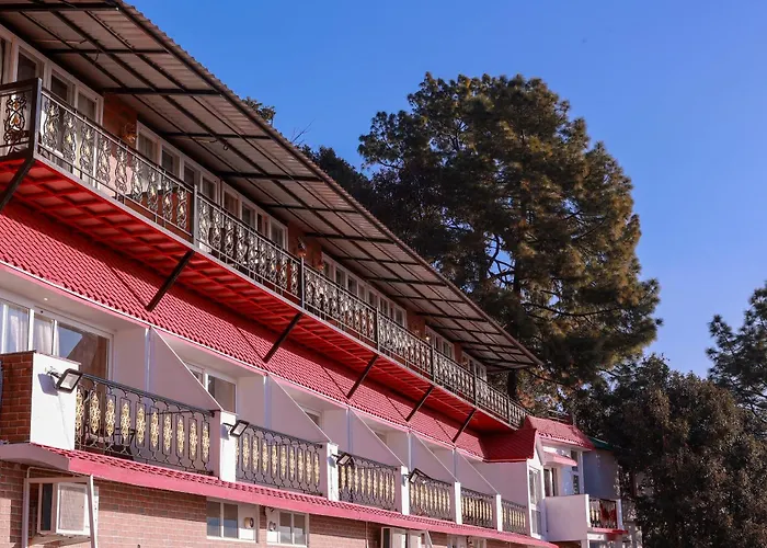 Blue Pine Resort