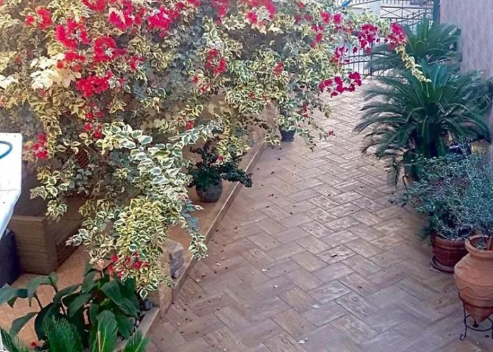 Mediterranean