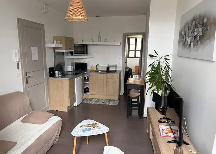Centre Pau Proche Chateau Et Gare 33 M2