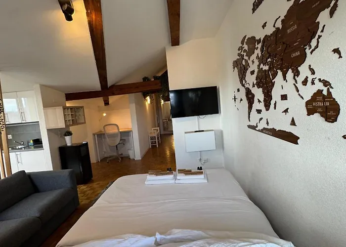 Cosy Attic Flat Lausanne Center