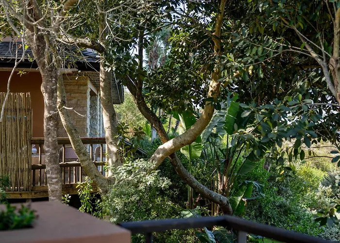 Pezula Nature Retreat