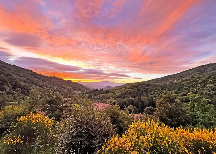 Il Vigno - Adults-Only Organic Farm Stay In Wild Tuscany