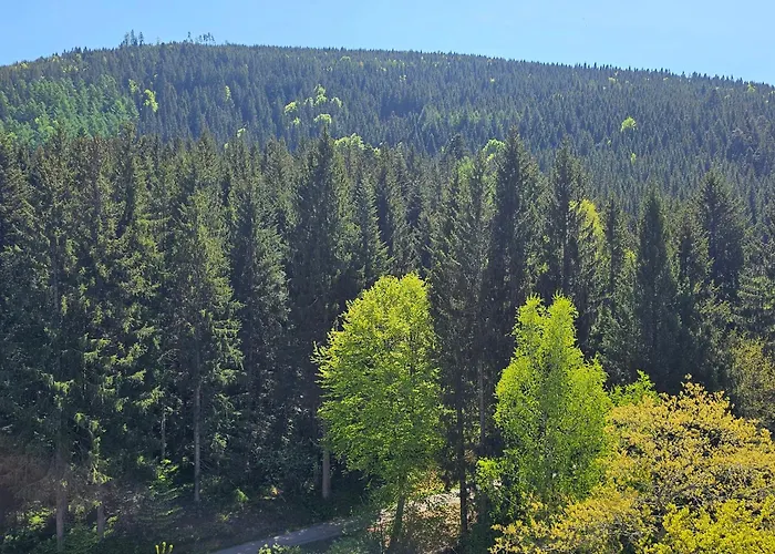 Ferienwohnung Tannenballett Mit Panorama Ueber Den Schwarzwald In Baiersbronn