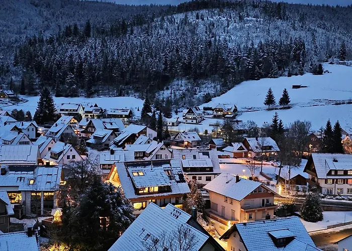 Ferienwohnung Tannenballett Mit Panorama Ueber Den Schwarzwald In Baiersbronn