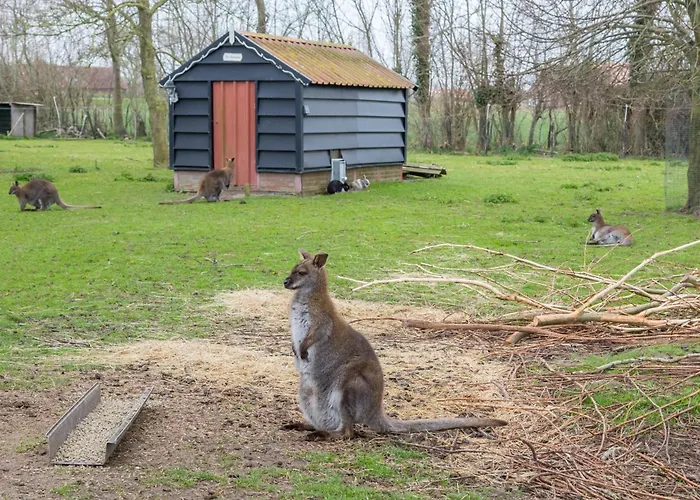 Welcome In - Studio Met Gezamenlijke Tuin En Speelweide I Kon Emmaweg 6, Vrouwenpolder