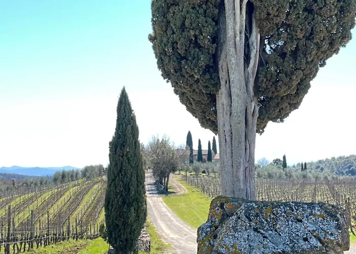 Casa Rossella, Incantevole Casa Con Piscina In Tenuta Storica Del Chianti