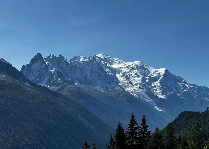 Le 41 Du Lyret - Appartement Type Studio Pour Deux Avec Vue Sur Les Aiguilles Dans Chamonix Centre