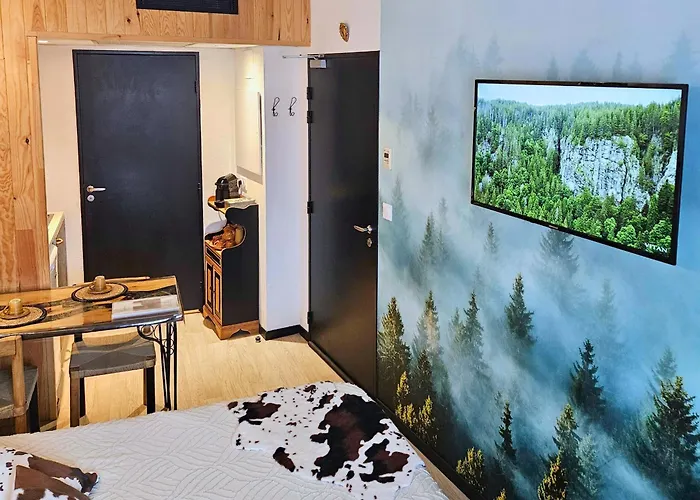 Chalet Studio Premium, Wifi, Chaleureux