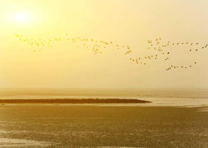 Ferienhaus Kuckuck Am Meer