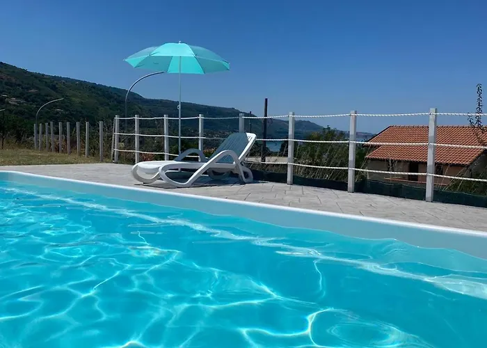 A Crita Suite