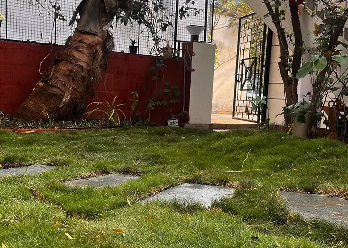 Single House With Garden For Your Stay