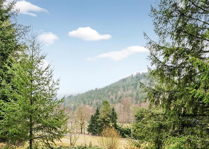 Krelax Black Forest - 3 Bedrooms - 6 Guests - Terrace - Parking - Smart Tv - Near Thermal Baths - Nature