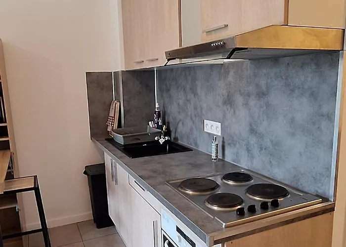Studio L'Aliva - Avec Balcon - Residence Paisible