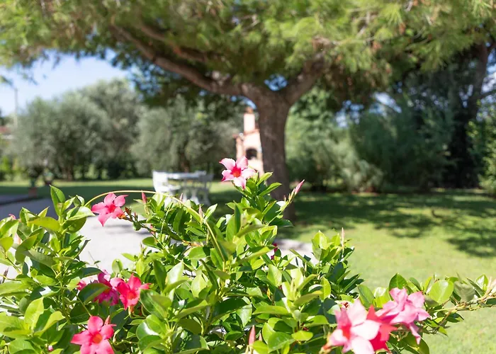 Agriturismo Diaccione 1900