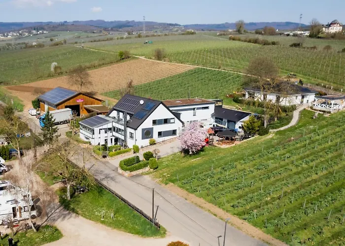 Ferienwohnungen Im Weinhof Martin