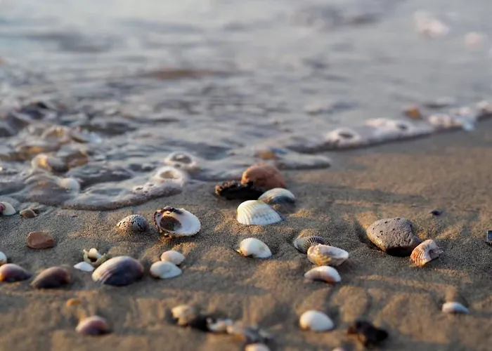 Le Betulle 10 Bibione Winter Relax Vicino Terme Con Wifi E Clima Caldo
