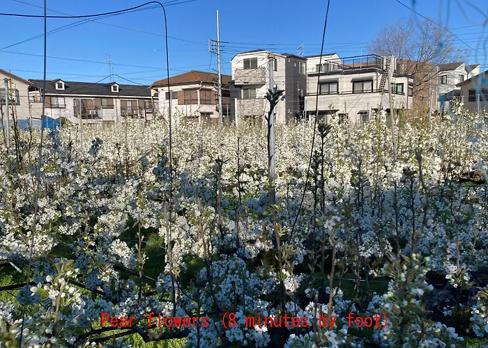 House In Green Valley, 9 People, Garden, Parking, Bbq ! 緑の谷の一軒屋 9人 102M2 庭 駐車場 Bbq 稲田堤駅歩26分 読売ランド前駅バス4分歩8分