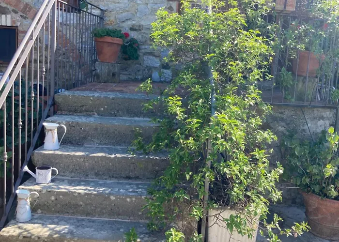 Salto Di Gatto
