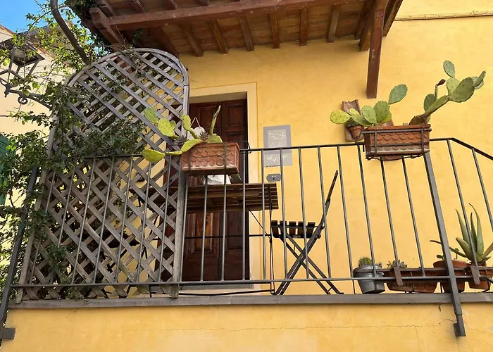 Il Grillo