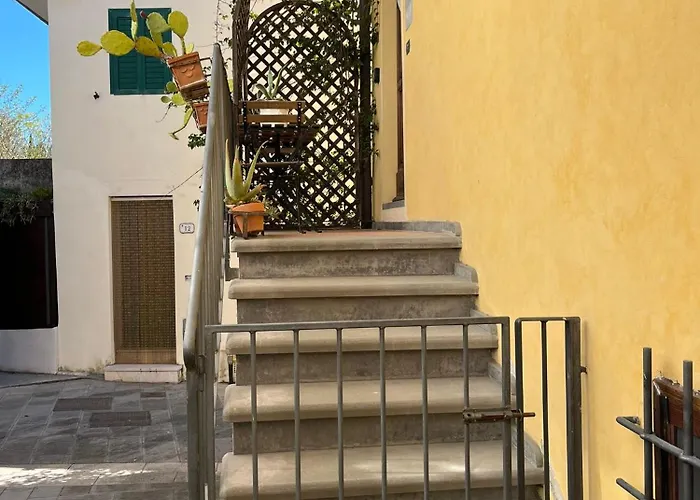 Il Grillo