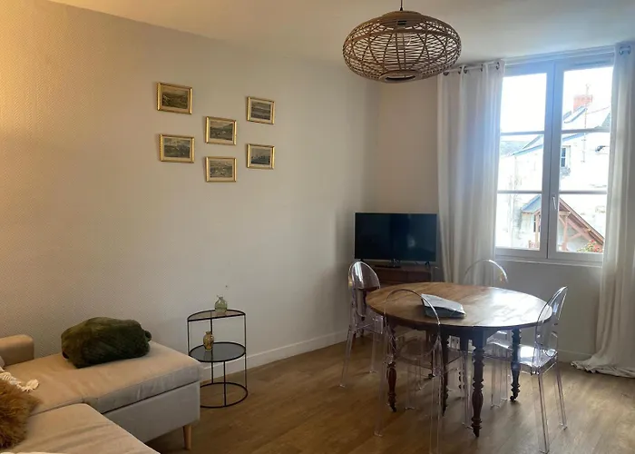 Les Marronniers Appartement Centre Saumur Bord De Loire
