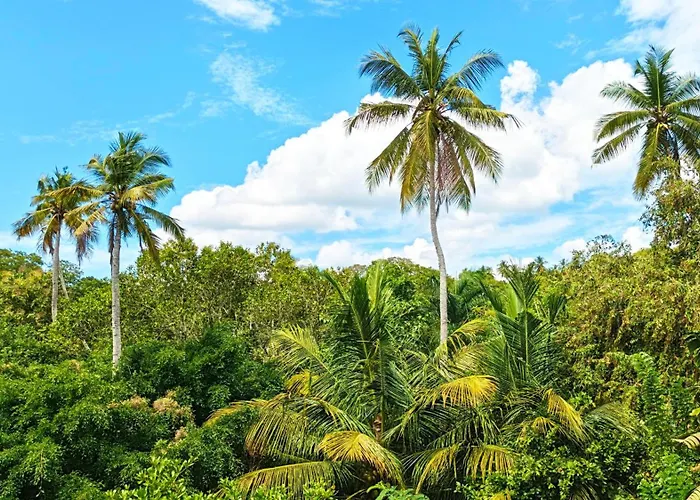 Tropical Plant Villa - Tangalle