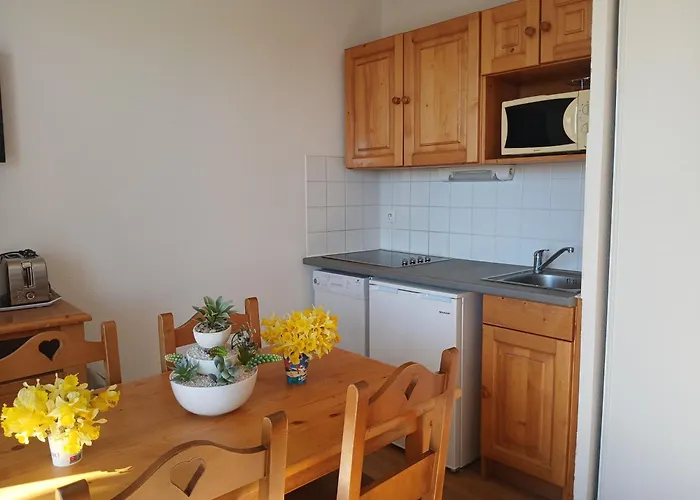 Appartement Dans Station Super Besse 4Ou5 Pers Piscine