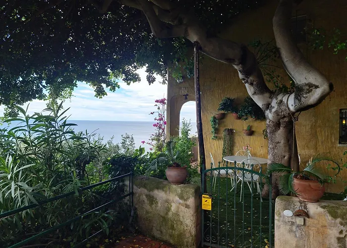 Il Carrubo