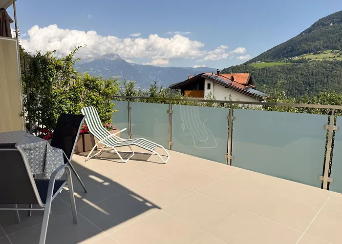 Texlhof - Stella Alpina