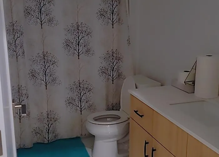 Modern Suite Near Hamilton Airport