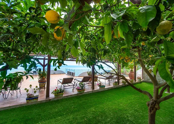 Il Giardino Dei Limoni
