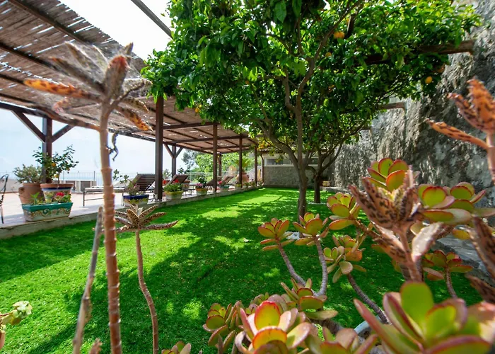 Il Giardino Dei Limoni