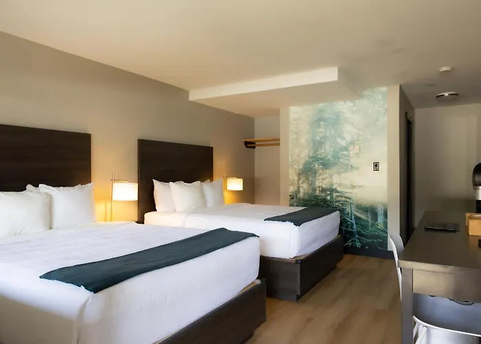 Tofino Resort + Marina