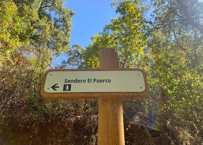 Aparthotel Las Palomas