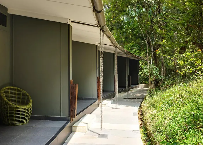 Wayanad Wild - A Cgh Earth Experience