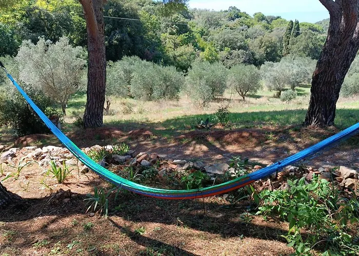 Podere Barlo