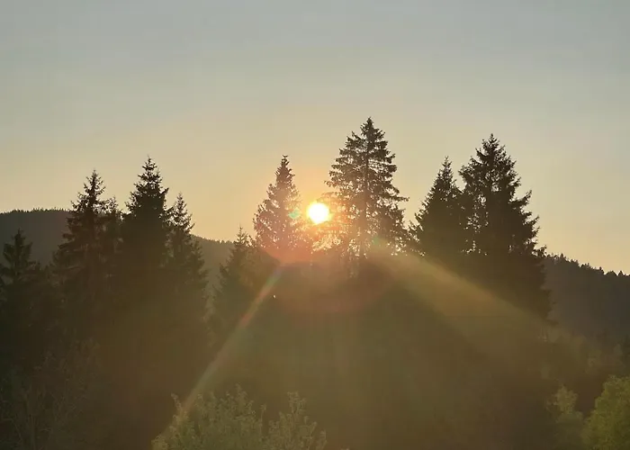 Ferienwohnung Schwarzwald