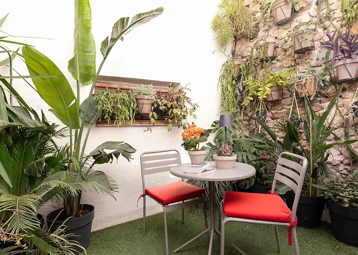 Les Petits Volets Appartements A 100M De La Mer