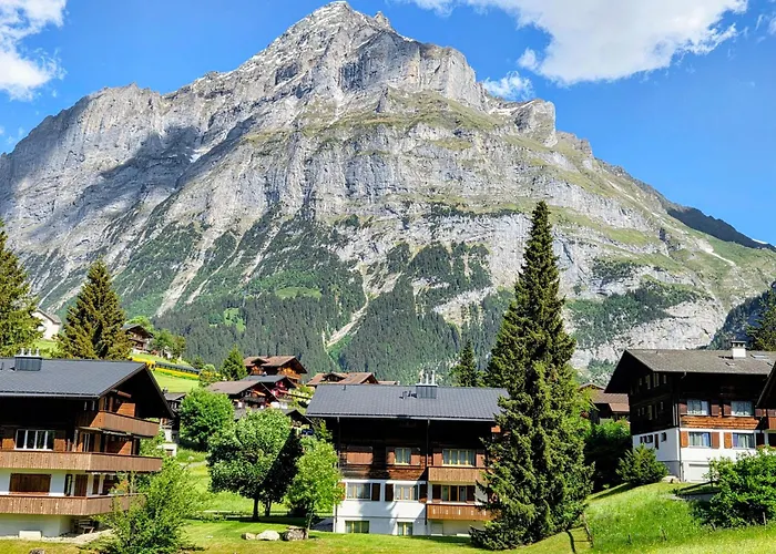 Mom - Alpine Boutique Apartments, Romantica, Near Grindelwald Terminal