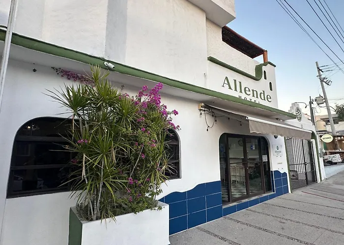 Hotel Allende